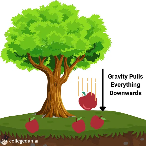 gravitational force